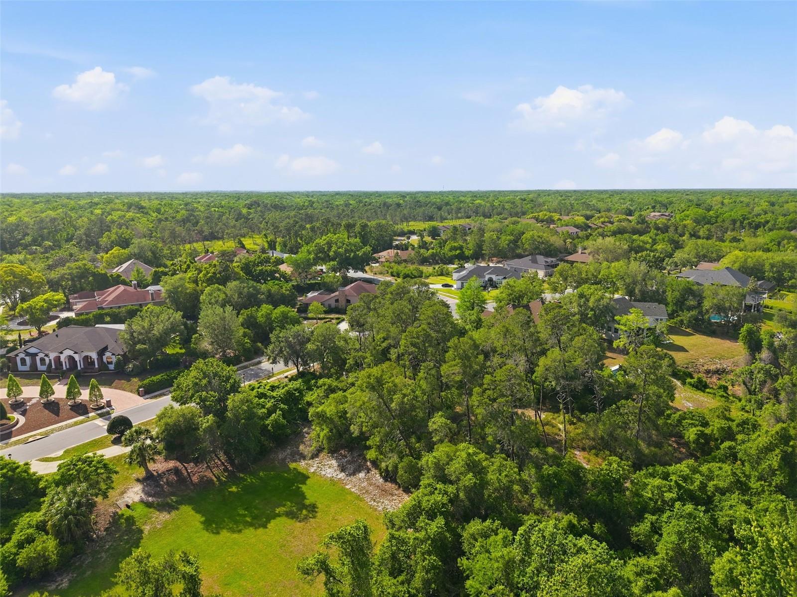 WATERS OF WEEKI WACHEE - Land