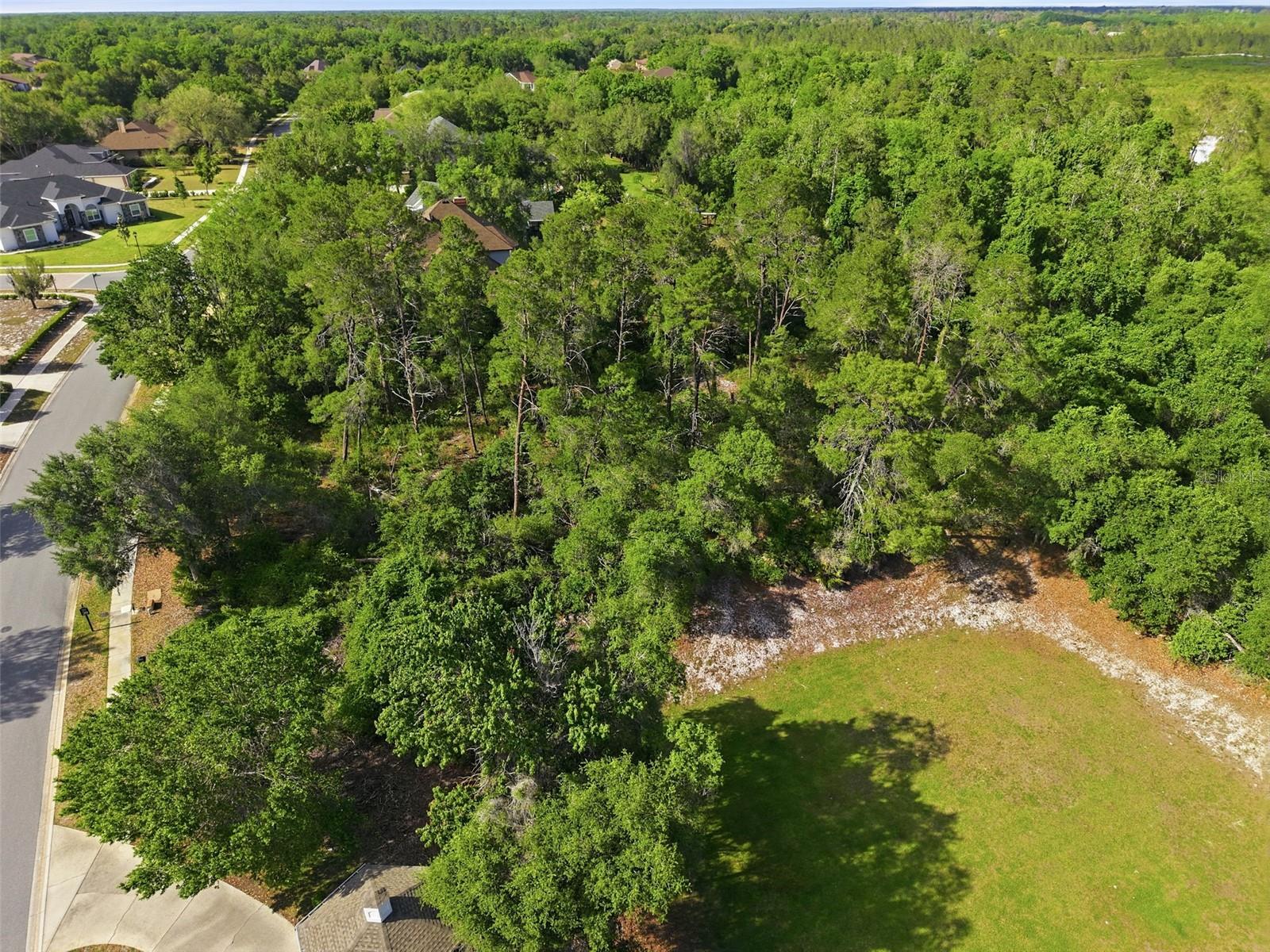 WATERS OF WEEKI WACHEE - Land