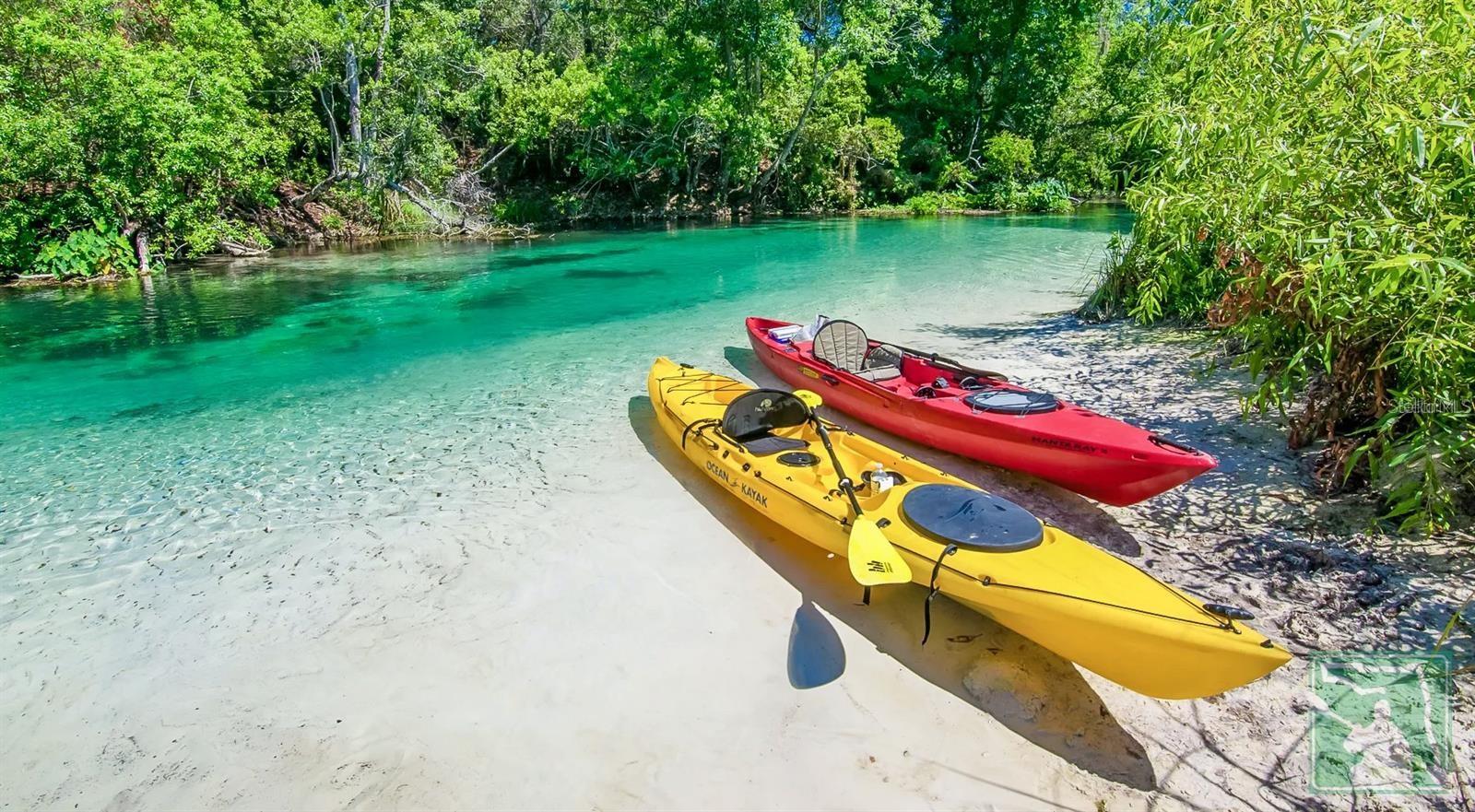 WATERS OF WEEKI WACHEE - Land