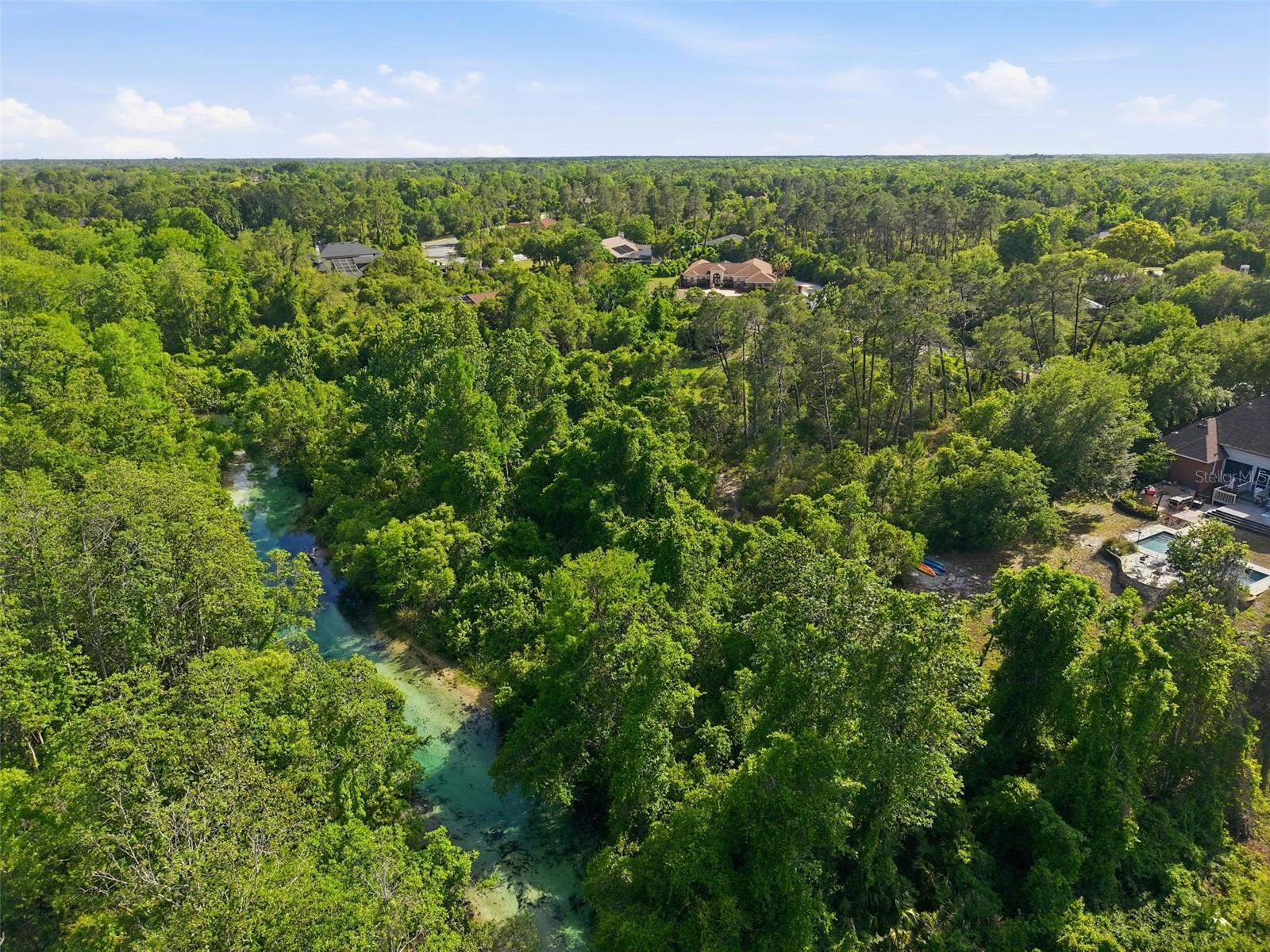 WATERS OF WEEKI WACHEE - Land
