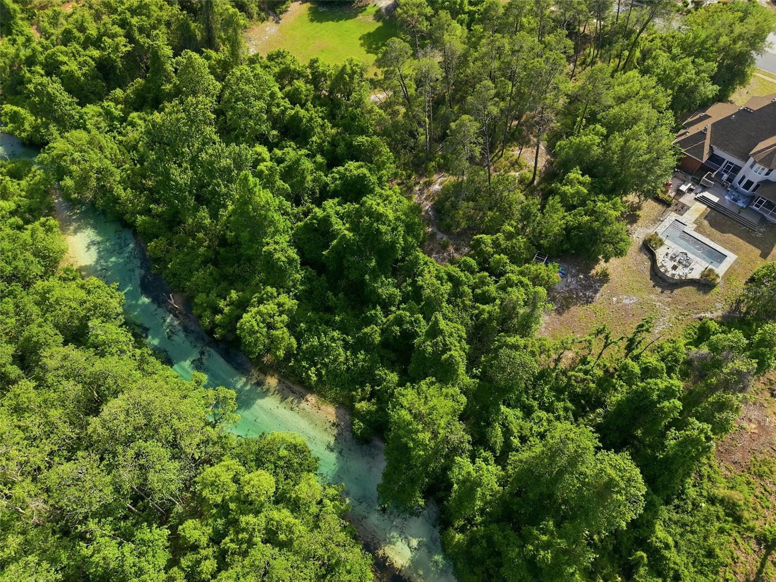 WATERS OF WEEKI WACHEE - Land