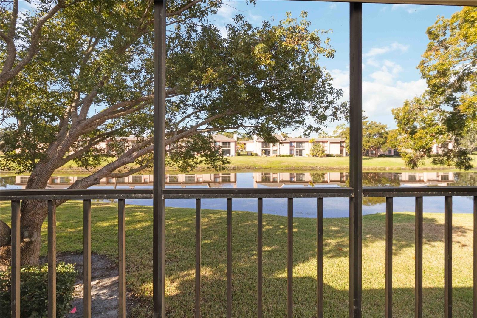 EAST LAKE WOODLANDS CONDO - Residential