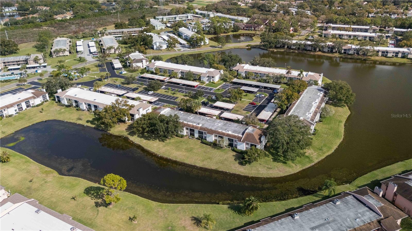 EAST LAKE WOODLANDS CONDO - Residential