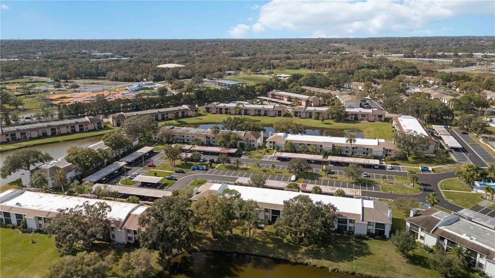 EAST LAKE WOODLANDS CONDO - Residential