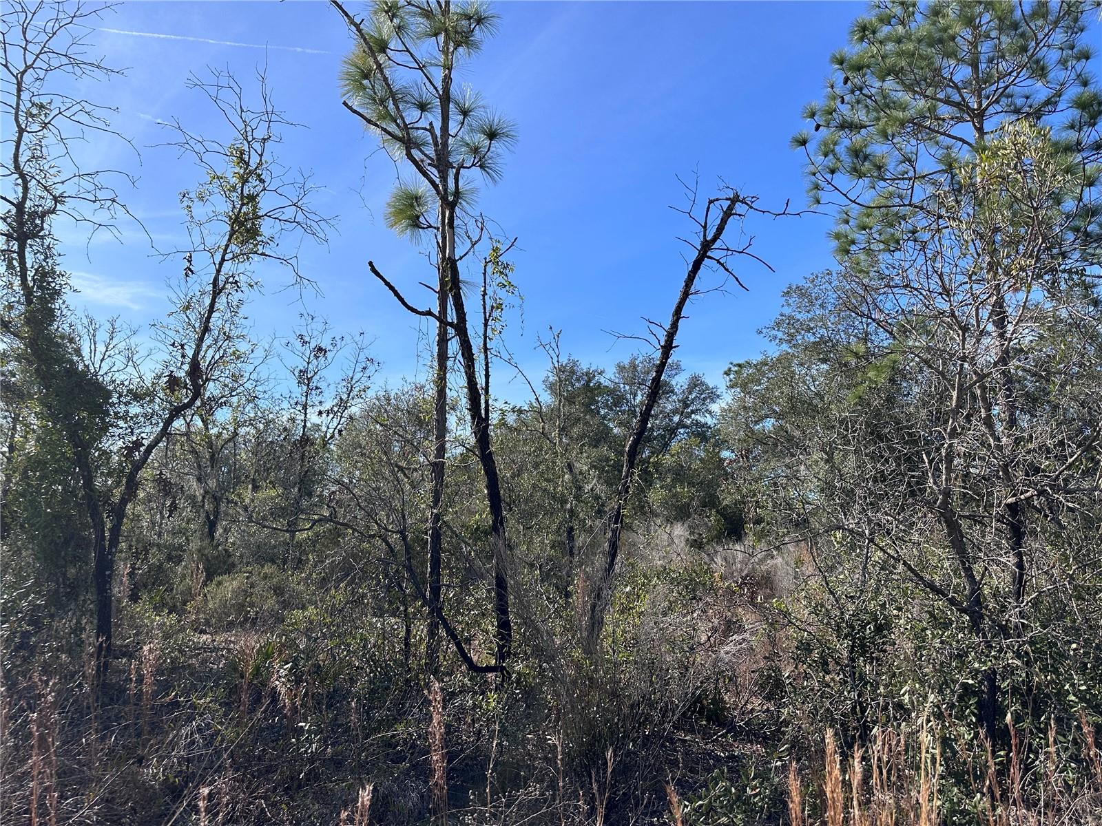 OAK RIDGE ESTATES - Land