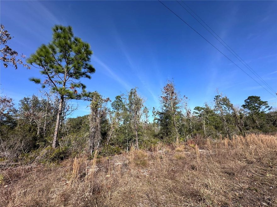 OAK RIDGE ESTATES 1/4 ACRE CORNER LOT. It is a nicely developing area; come build or put your manufactured home on this pretty corner lot. Lightly wooded with some mature trees. Conveniently located between Williston and Bronson and a straight road to Gainesville just 25 minutes away. High and dry with no HOA and no time limits to build. It is the perfect lot to set up a rental investment home—a must-see in the area.