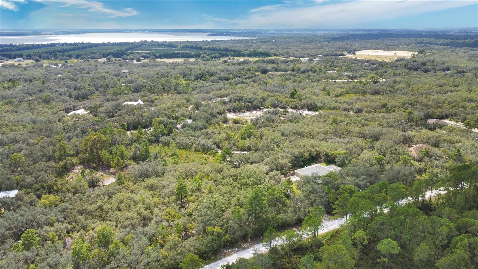 BLUE JORDAN FOREST - Residential