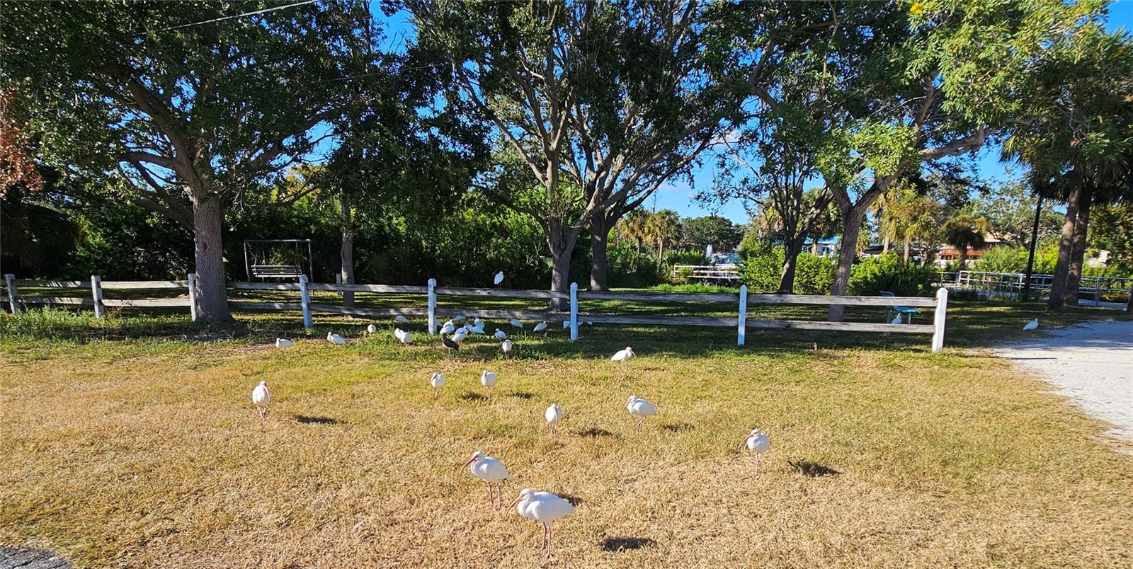 TOWN SHORES OF GULFPORT - Residential