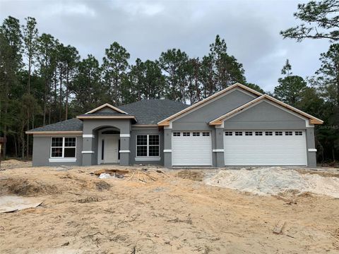 4671 N RUSHMORE LOOP BEVERLY HILLS FL 34465