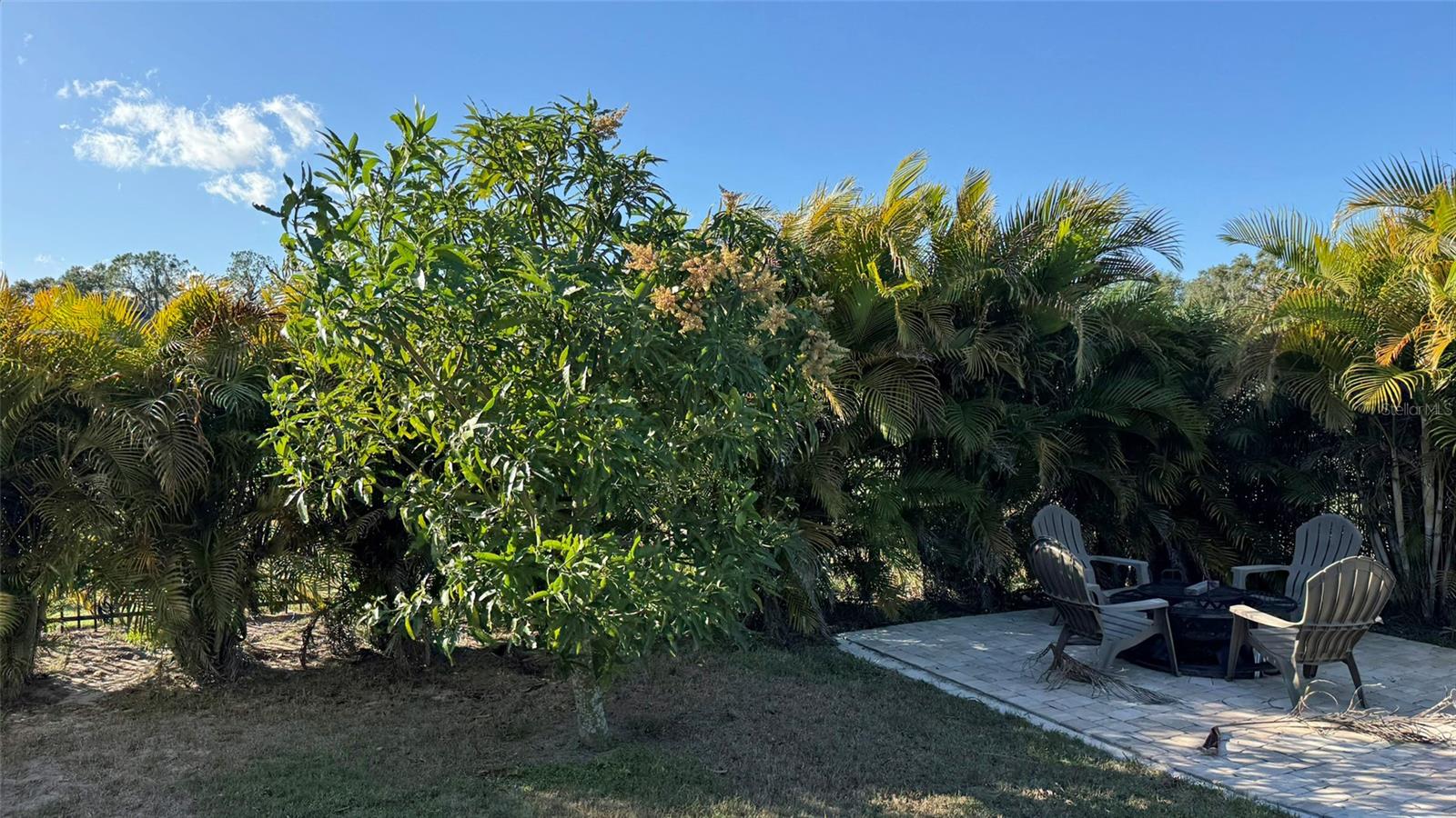 BAYWOOD SHORES FIRST ADD - Residential