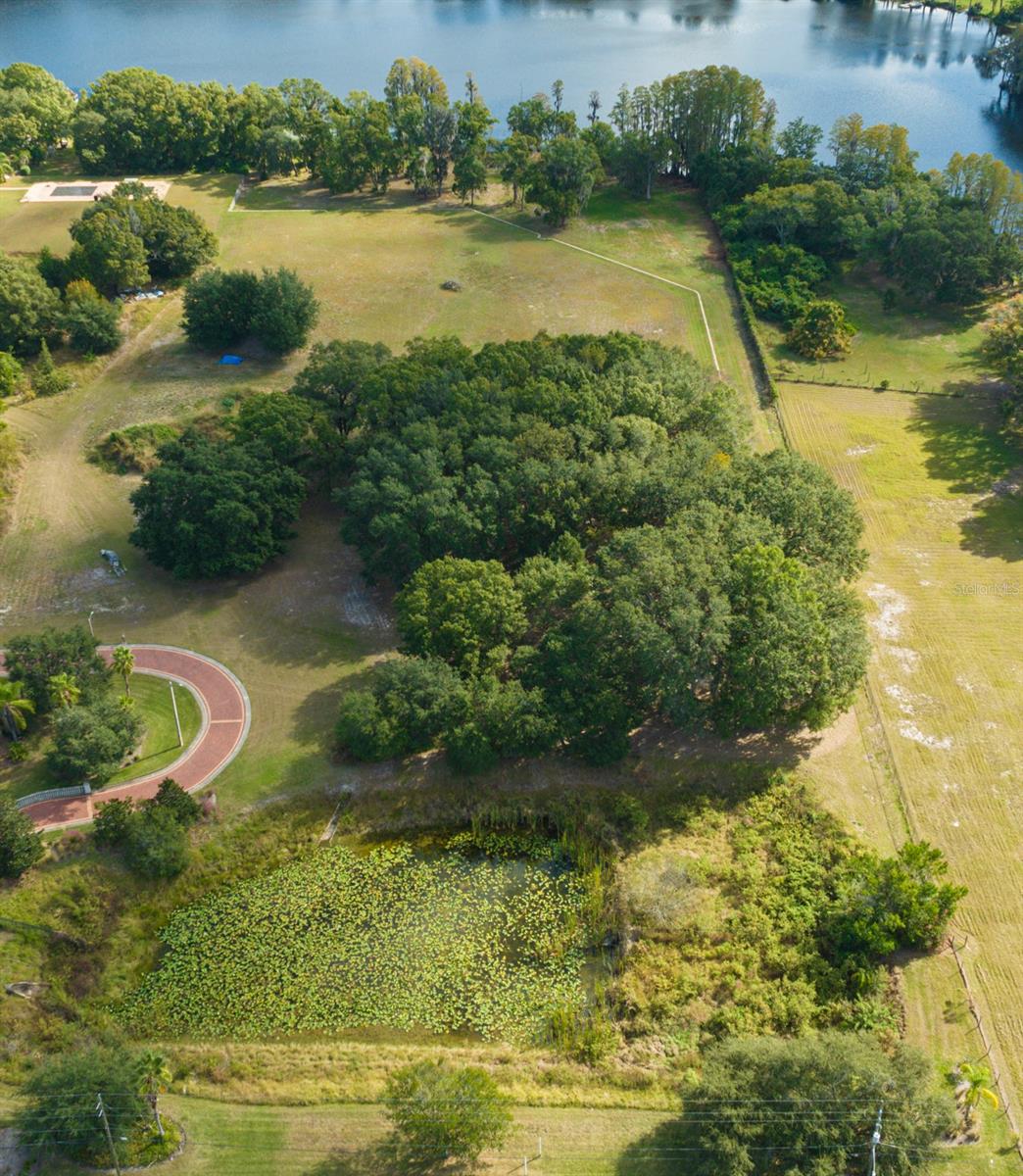 109 BELLAMERE PALMS COURT