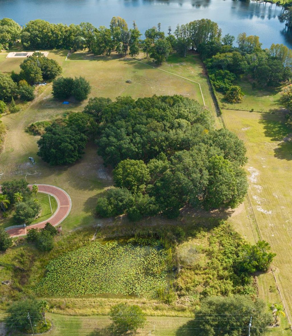 Photo of 109 Bellamere Palms Court, Lutz, FL 33549 (MLS # TB8469674)