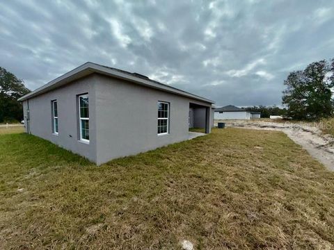 A home in KISSIMMEE