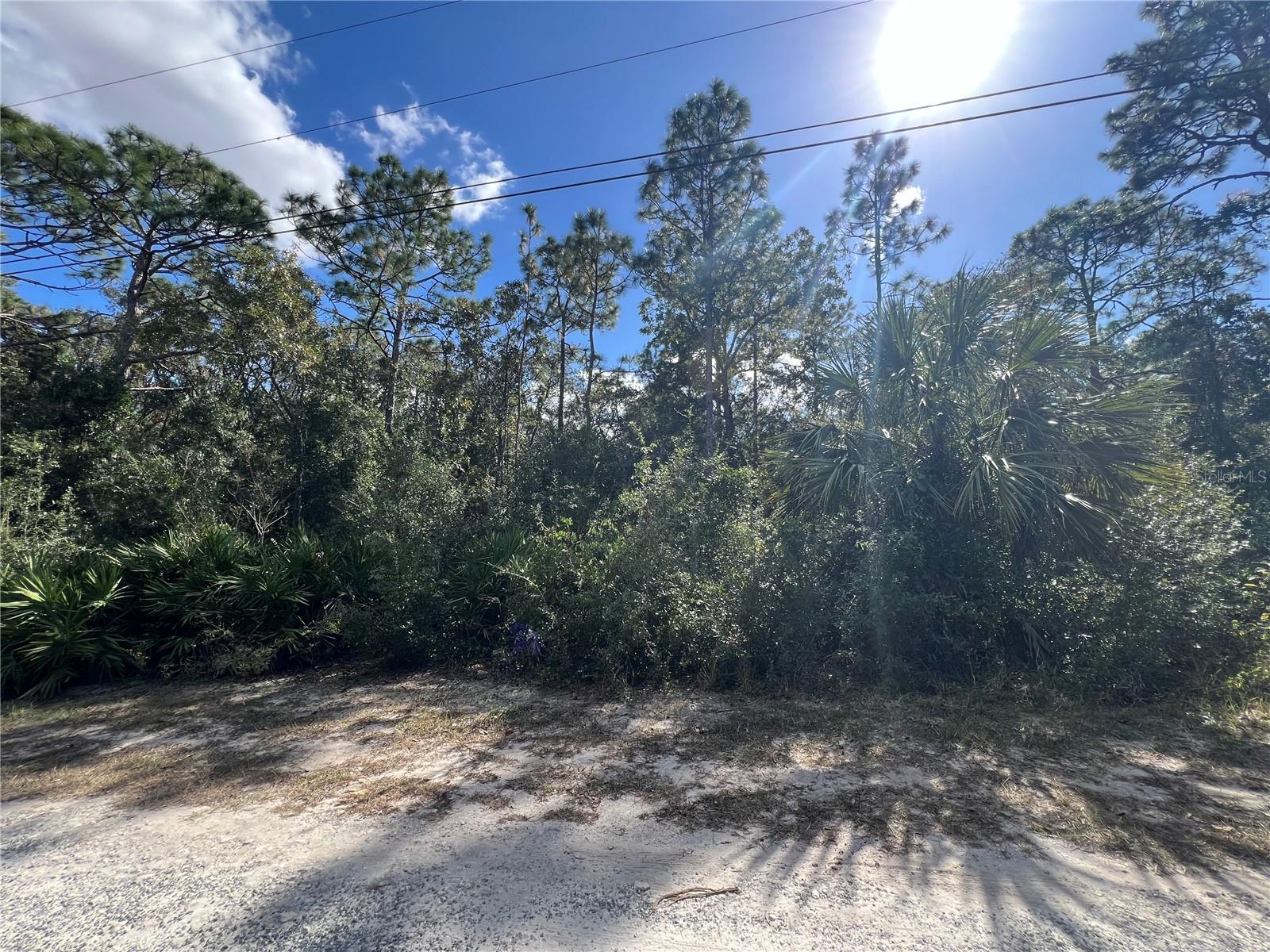 Great location in Pine Tree Villas. Build your dream home in beautiful Citrus County Florida! Quiet, peaceful area, but still close to dining and shopping.