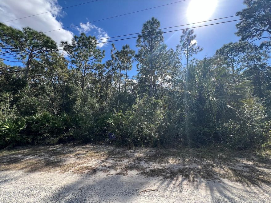 Great location in Pine Tree Villas. Build your dream home in beautiful Citrus County Florida!  Quiet, peaceful area, but still close to dining and shopping.