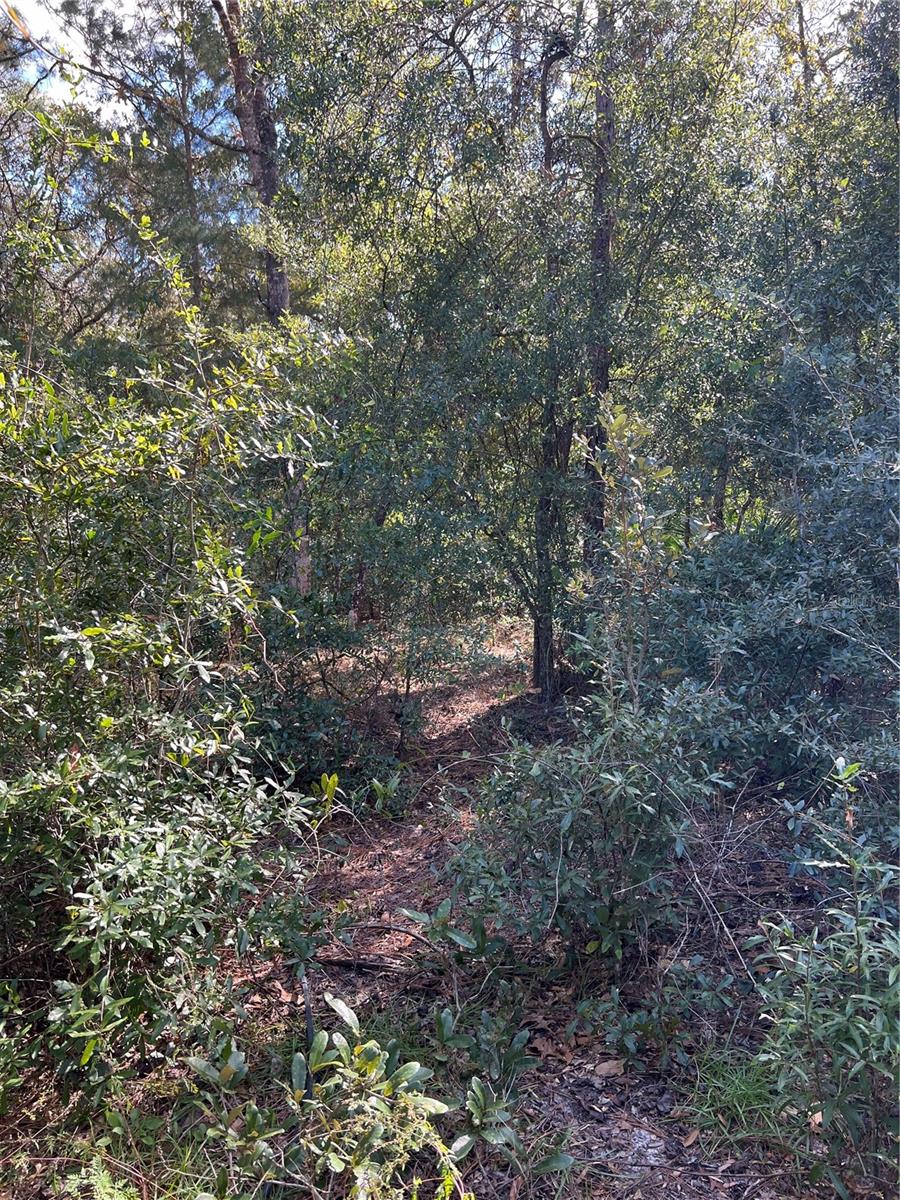 PINE TREE VILLAS UNREC SUB - Land