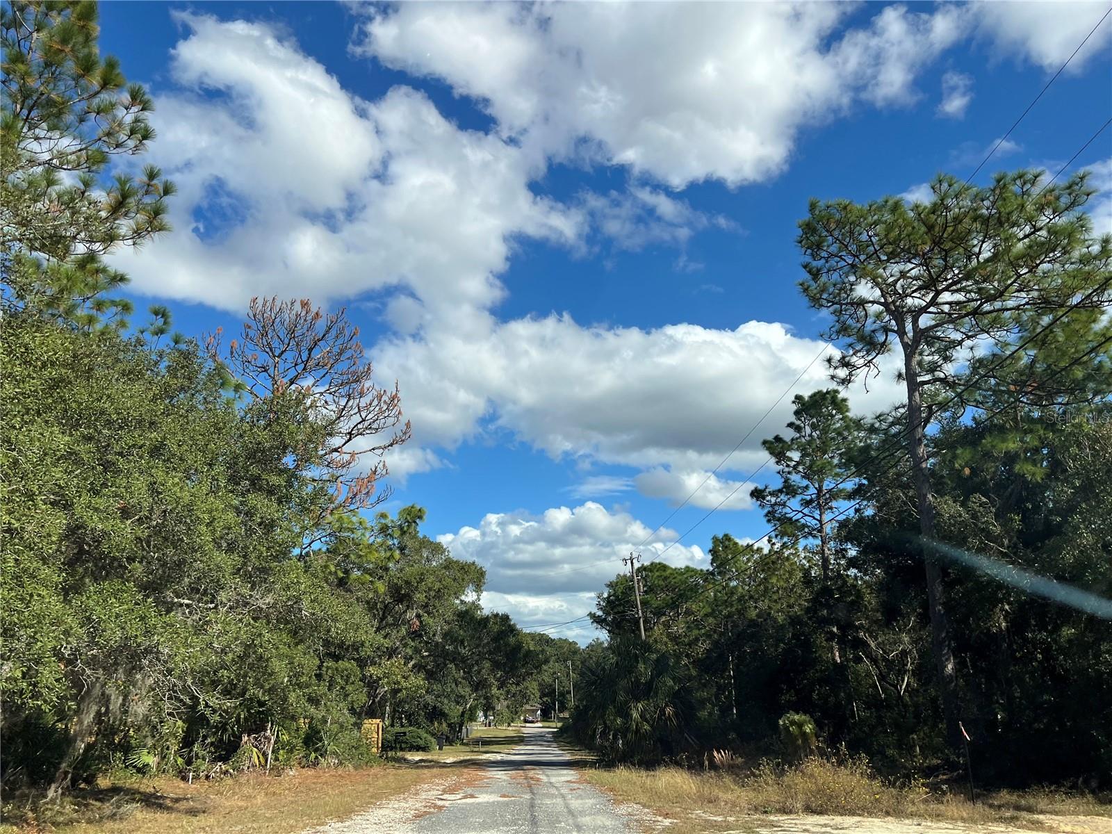 PINE TREE VILLAS UNREC SUB - Land