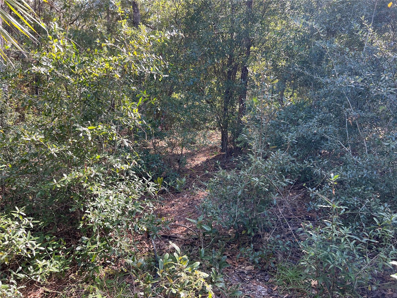 PINE TREE VILLAS UNREC SUB - Land