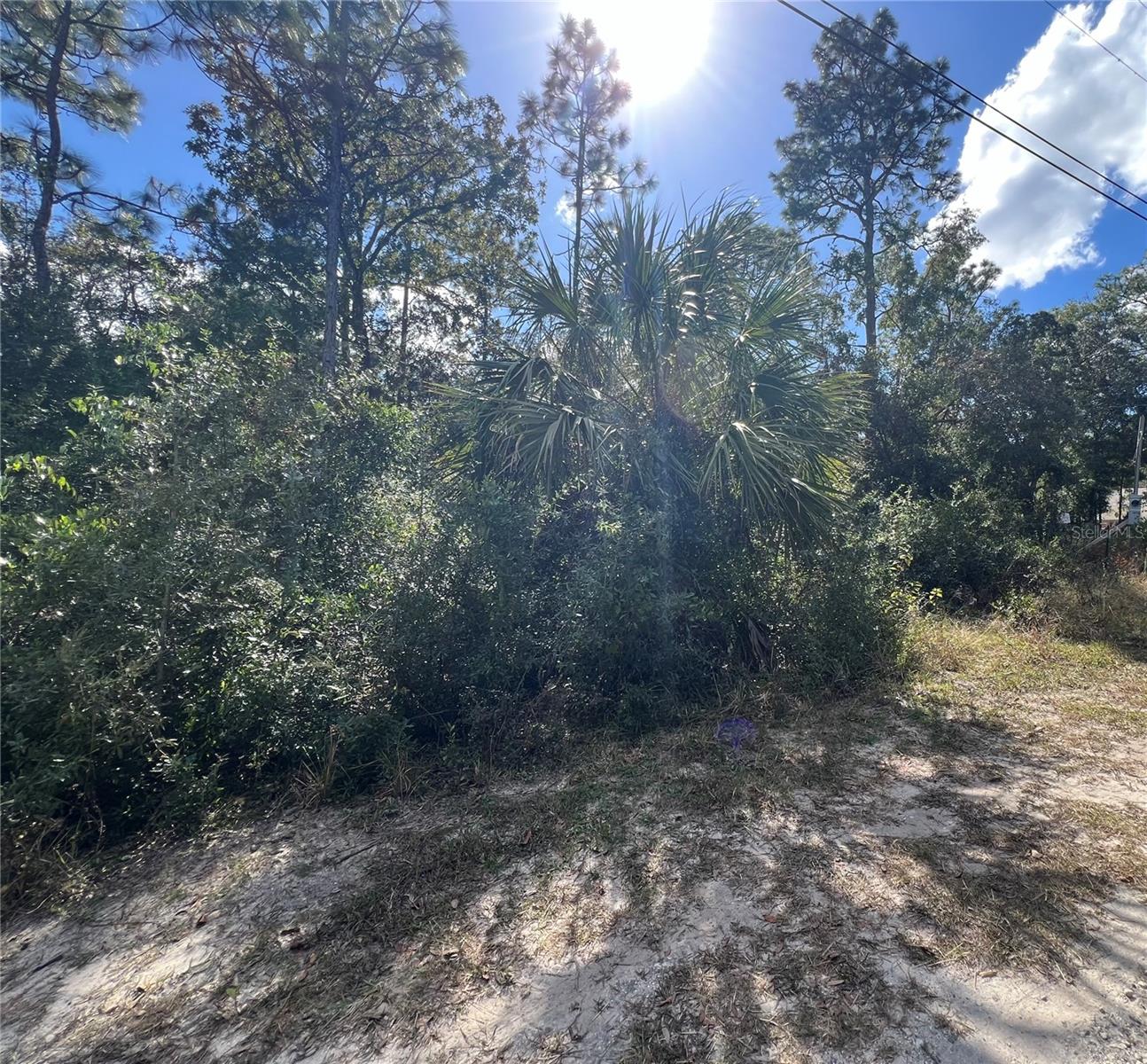 PINE TREE VILLAS UNREC SUB - Land