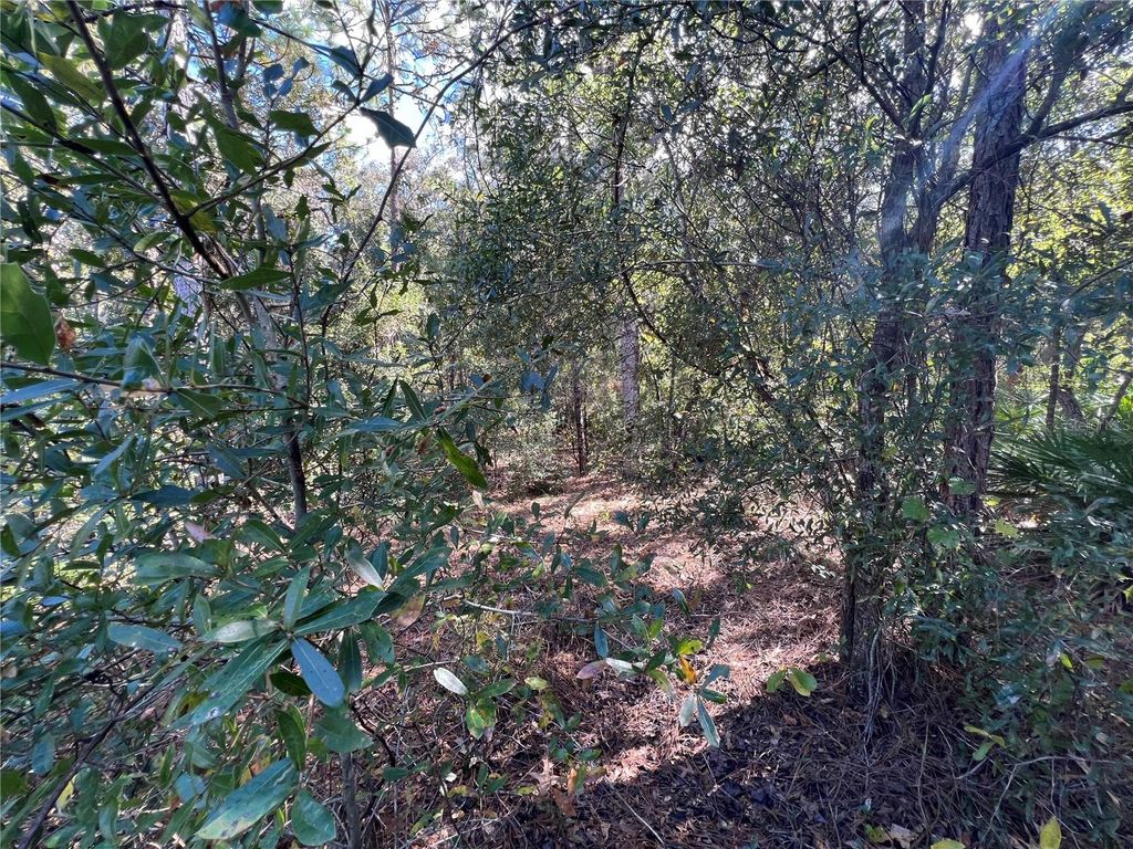 Photo of 5650 W Kettle Lane, Crystal River, FL 34429 (MLS # A4627147)