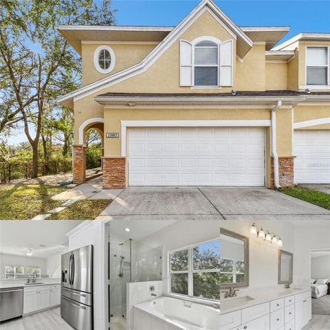 10883 DRAGONWOOD DRIVE TAMPA FL 33647