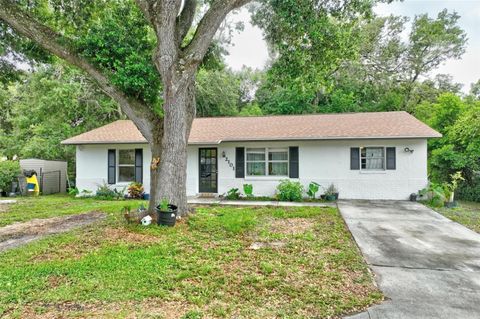 2101 ALMOND STREET ORANGE CITY FL 32763