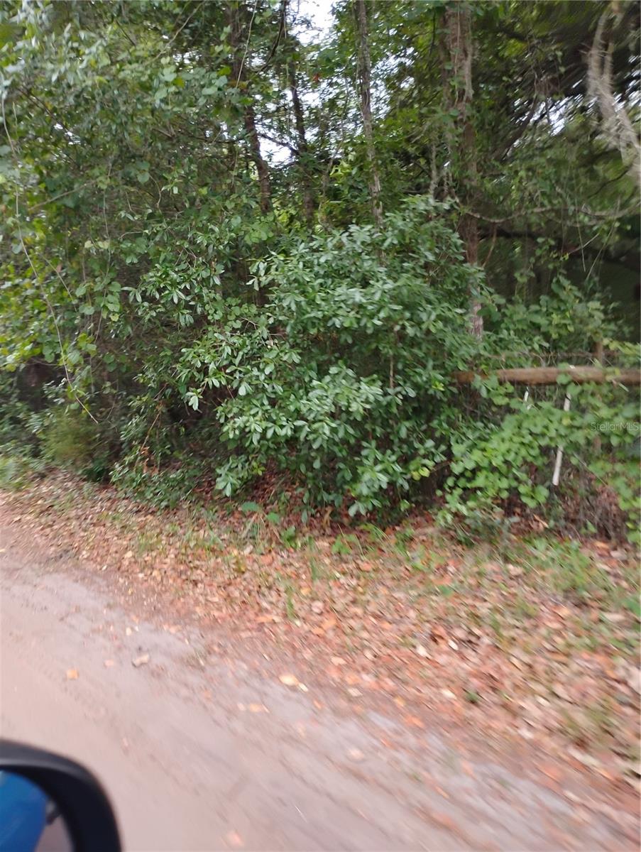 Priced to sell! This is a fantastic opportunity to own a piece of the Sunshine State in Fort McCoy, Florida. Located in the Eureka Forest Camp Sec area, this 0.18-acre parcel offers a chance to embrace the peaceful surroundings of Marion County. Imagine building your ideal retreat or placing a mobile home here. This could be your chance to enjoy the natural beauty of the area, with potential for outdoor activities and a relaxed lifestyle. Don't miss out on this affordable land ownership opportunity!