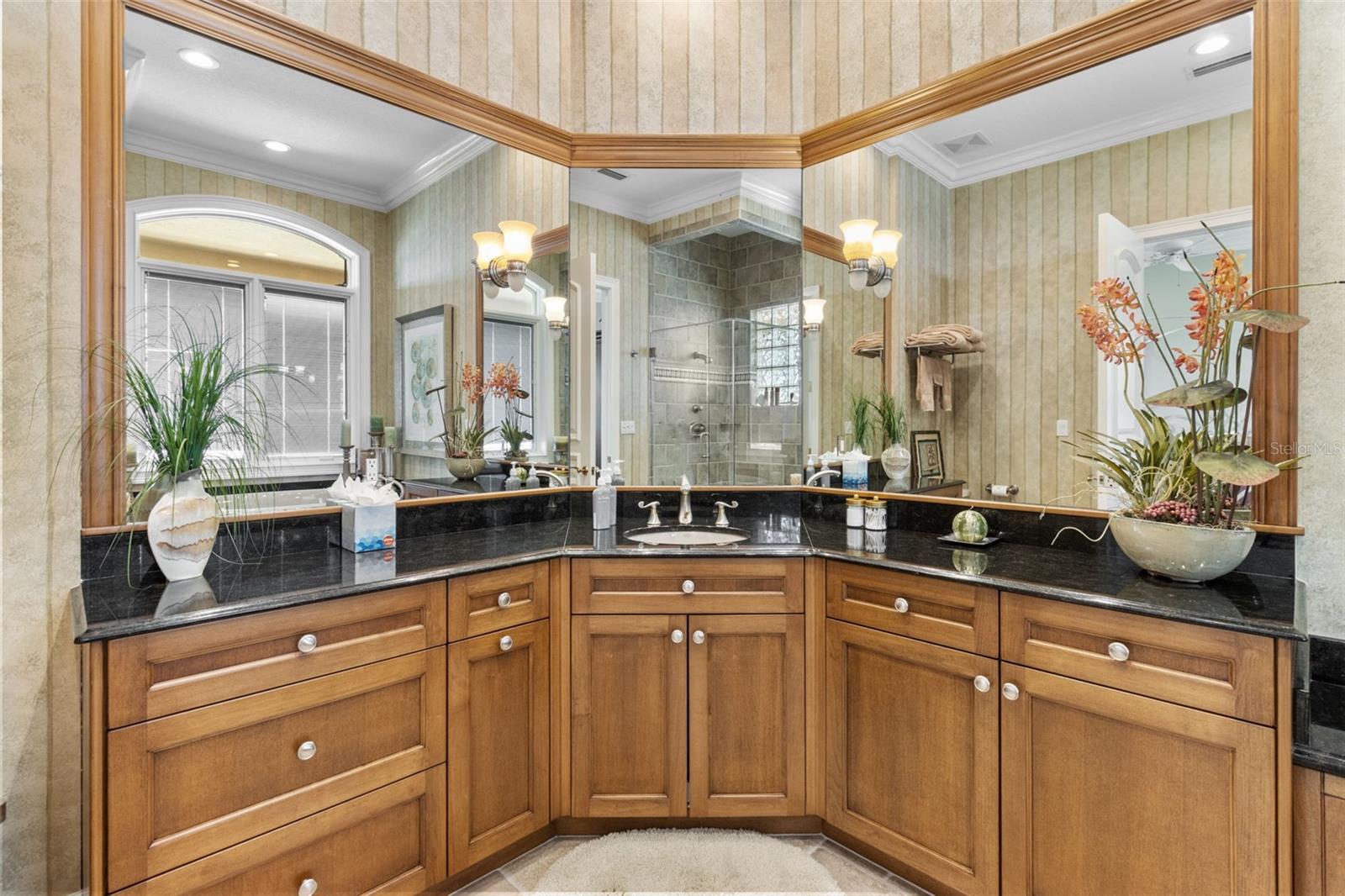 SNELL ISLE BRIGHTWATERS - Residential