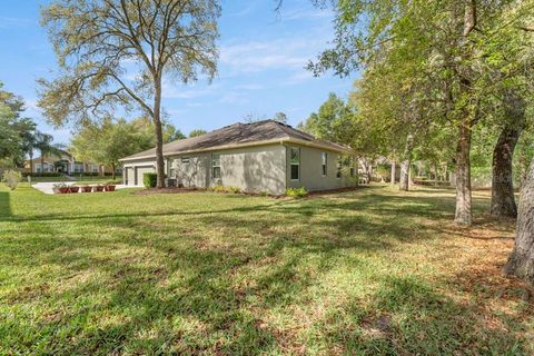 A home in APOPKA