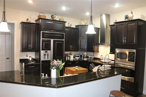 Tiny photo for 25447 High Hampton Circle, Sorrento, FL 32776 (MLS # O6381502)