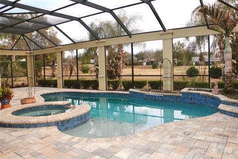 Tiny photo for 25447 High Hampton Circle, Sorrento, FL 32776 (MLS # O6381502)