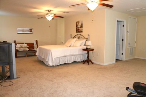 Tiny photo for 25447 High Hampton Circle, Sorrento, FL 32776 (MLS # O6381502)