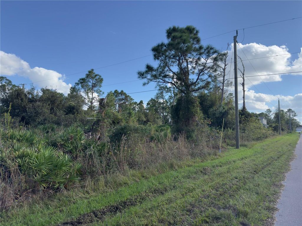 Photo of 338 Hyacinth Street, Port Charlotte, FL 33954 (MLS # C7500318)