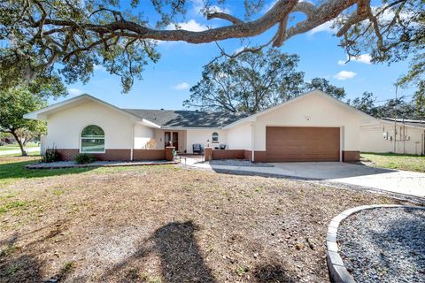 Photo of 2272 Ancho Avenue, Spring Hill, FL 34608 (MLS # TB8484891)