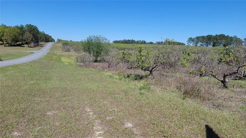 Tiny photo for 0 Thrill Hill Road, Eustis, FL 32736 (MLS # G5094306)