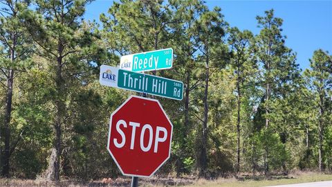 Tiny photo for 0 Thrill Hill Road, Eustis, FL 32736 (MLS # G5094306)