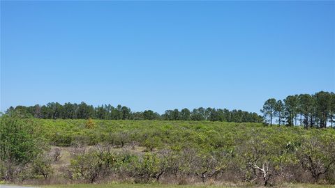 Tiny photo for 0 Thrill Hill Road, Eustis, FL 32736 (MLS # G5094306)