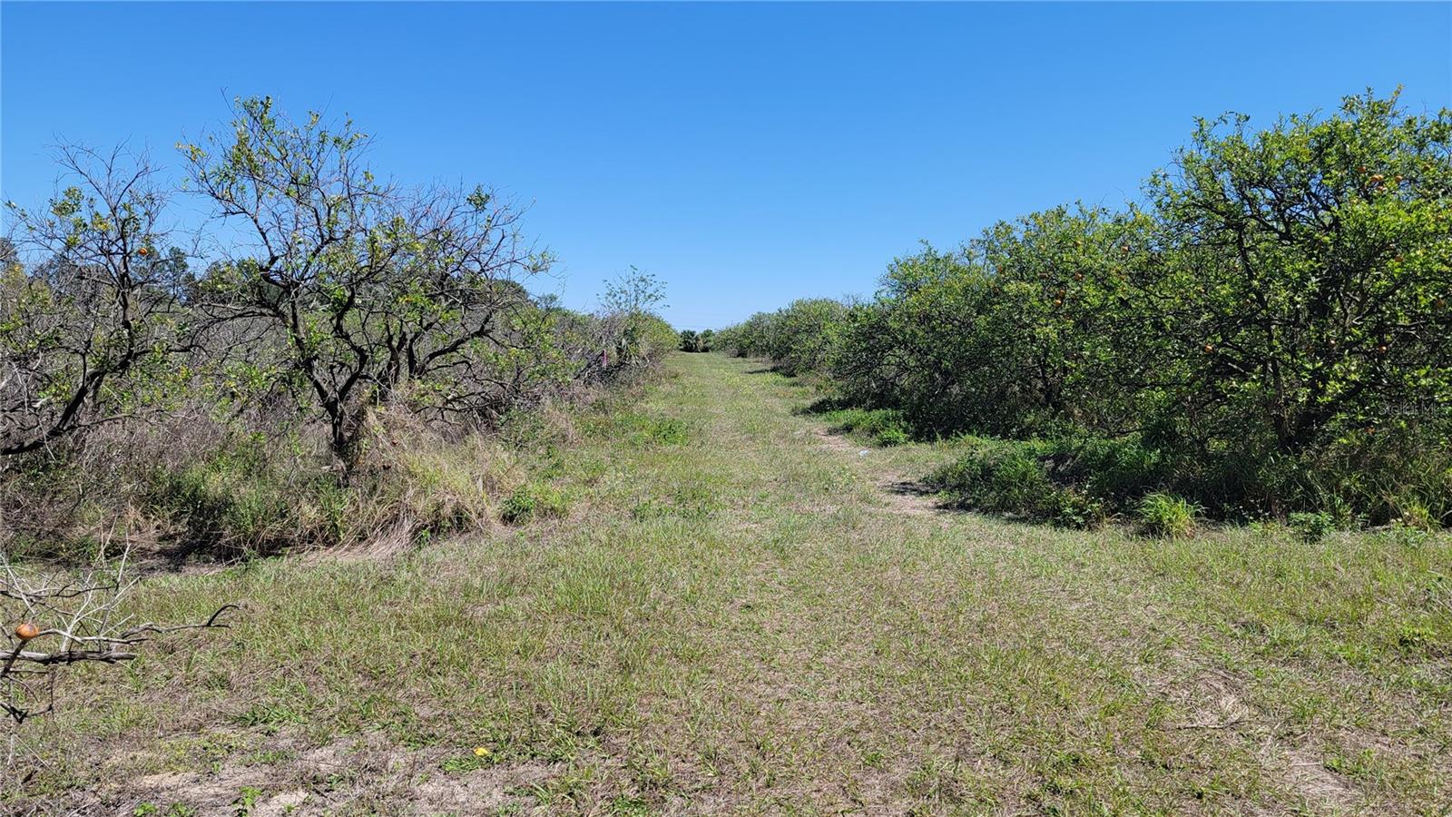 SENECA CROSSON & JEWETTS ADD - Land