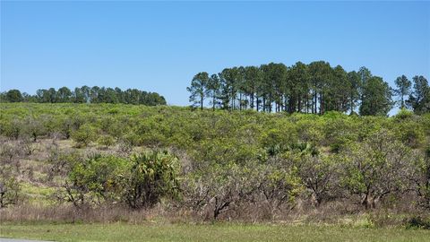 Photo of 0 Thrill Hill Road, Eustis, FL 32736 (MLS # G5094306)