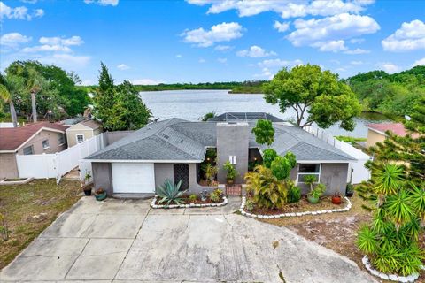 3931 HOLIDAY LAKE DRIVE HOLIDAY FL 34691