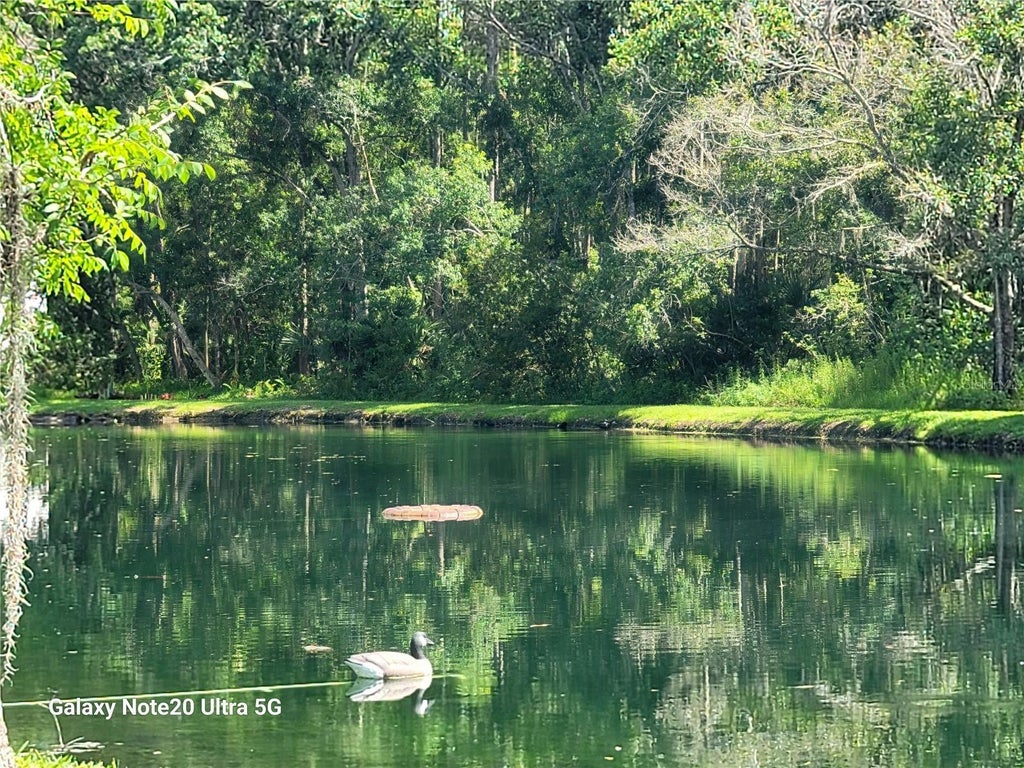 Photo of 12742 Wood Trail Blvd, Tampa, FL 33625 (MLS # TB8520760)