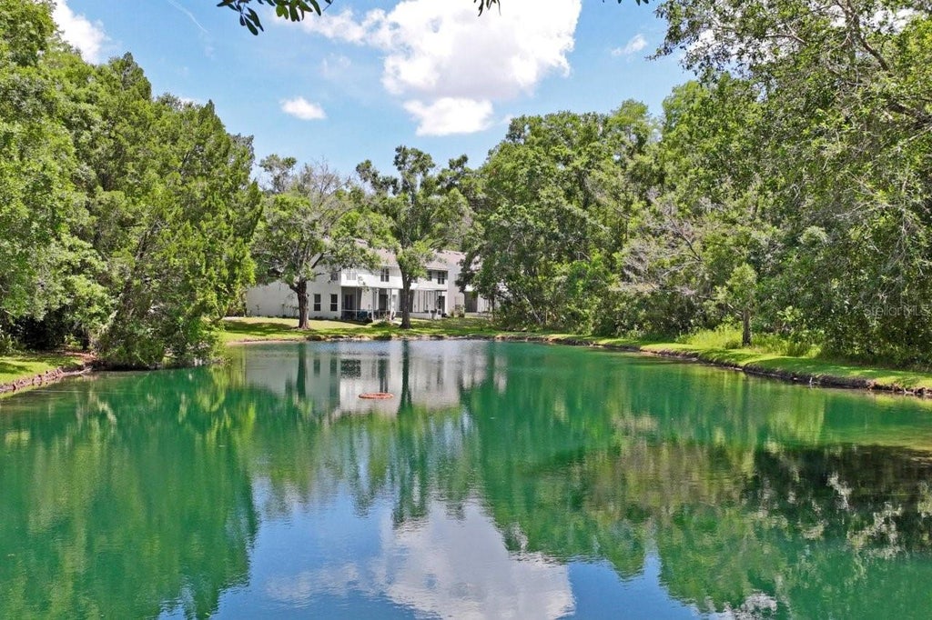 Photo of 12742 Wood Trail Blvd, Tampa, FL 33625 (MLS # TB8520760)
