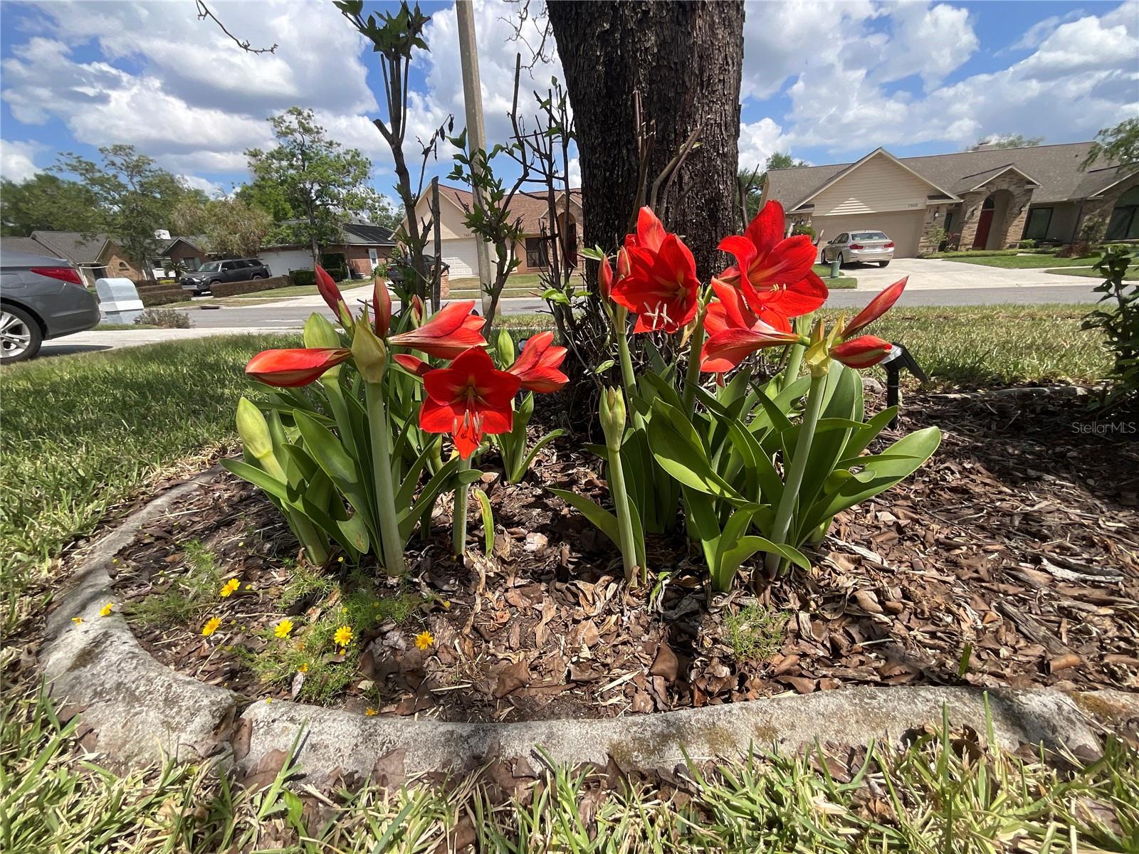 ASHLEY OAKS UNIT 2 - Residential