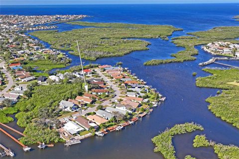 A home in NEW PORT RICHEY