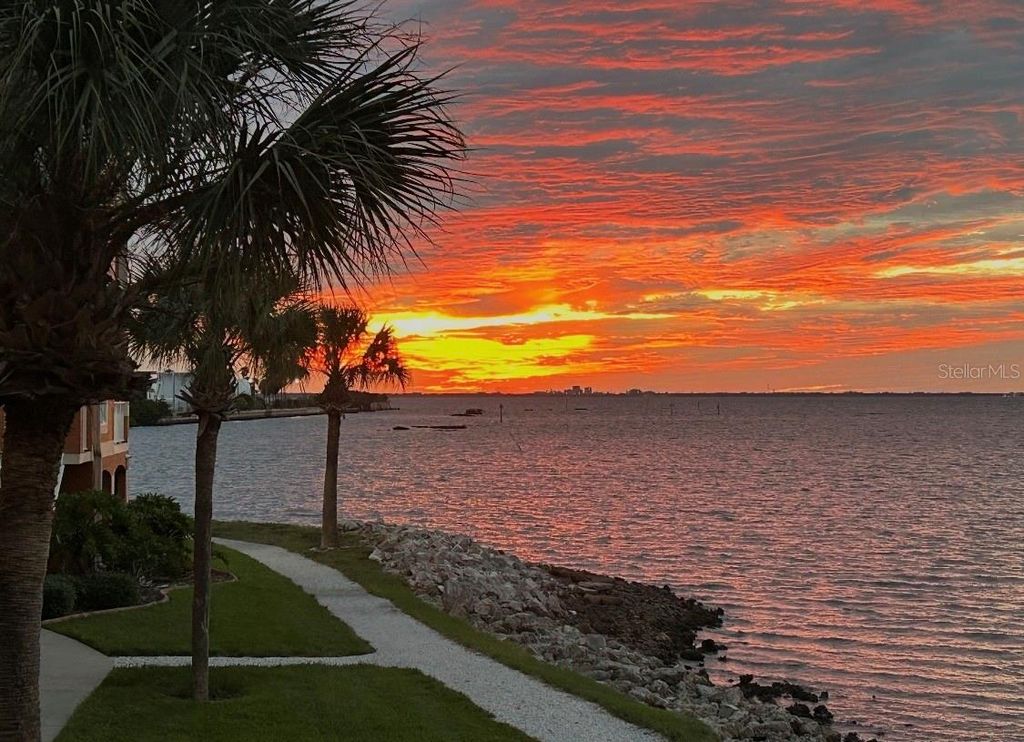 Photo of 5000 Culbreath Key Way #9-112, Tampa, FL 33611 (MLS # TB8476645)