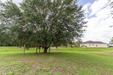 A home in KISSIMMEE