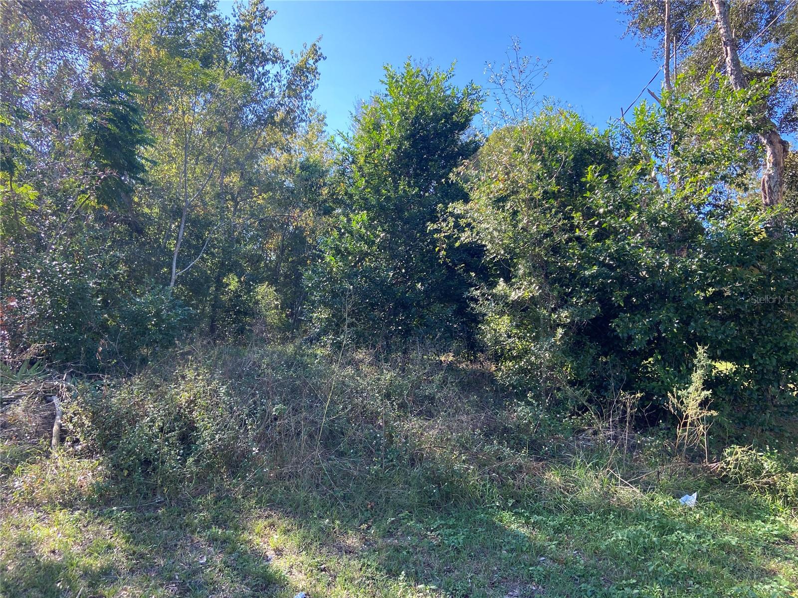 DELTONA LAKES UNIT 71 - Land