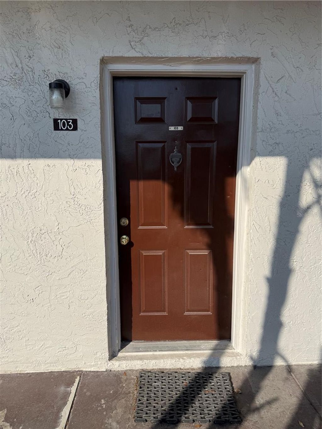 Photo of 9209 Tudor Drive #C103, Tampa, FL 33615 (MLS # TB8496042)