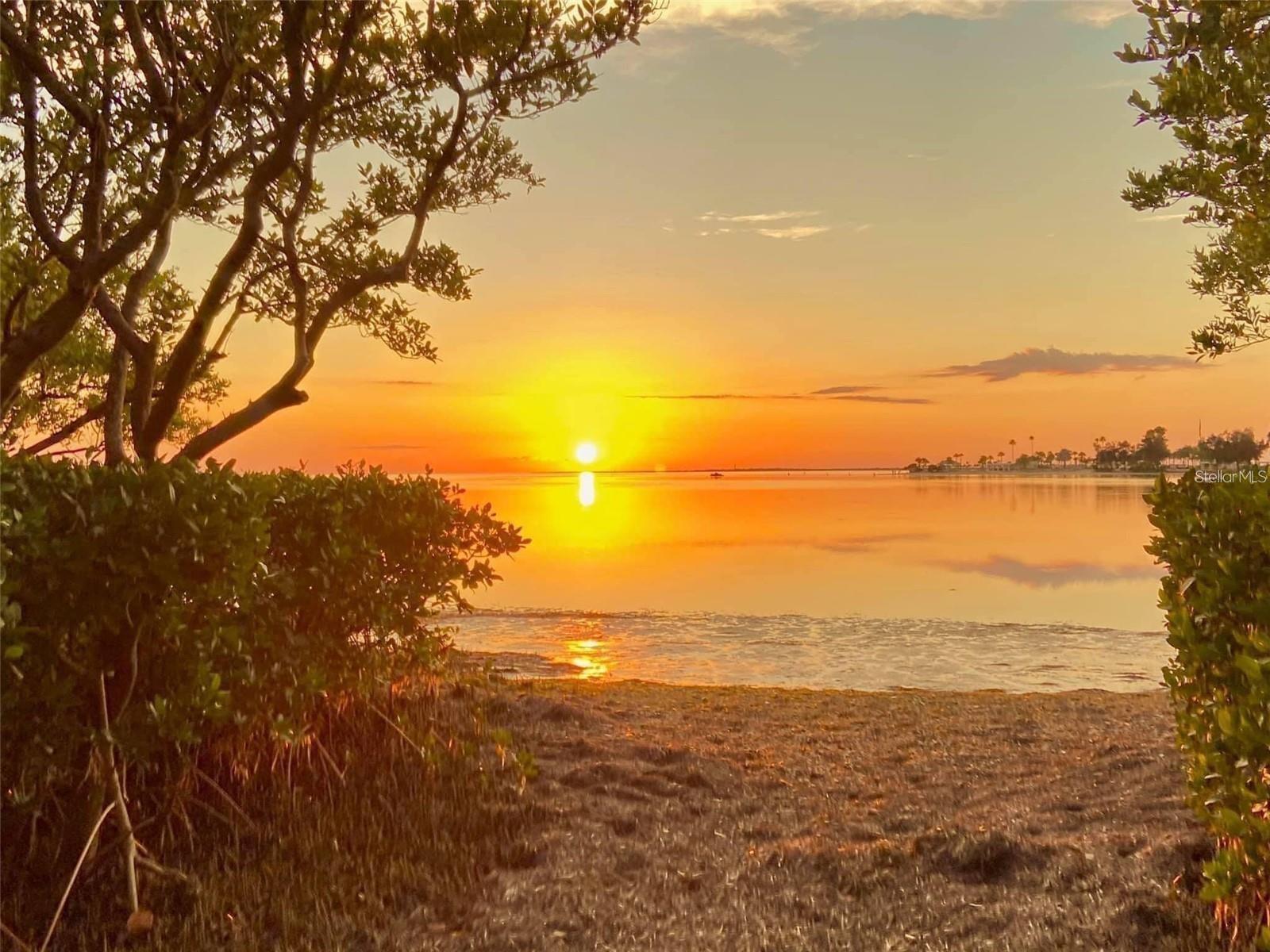 ISLAND CLUB OF TARPON - Residential