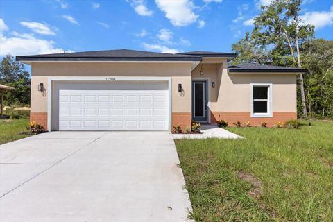 Photo of 11200 N Terra Cotta Drive, Citrus Springs, FL 34434 (MLS # O6320965)